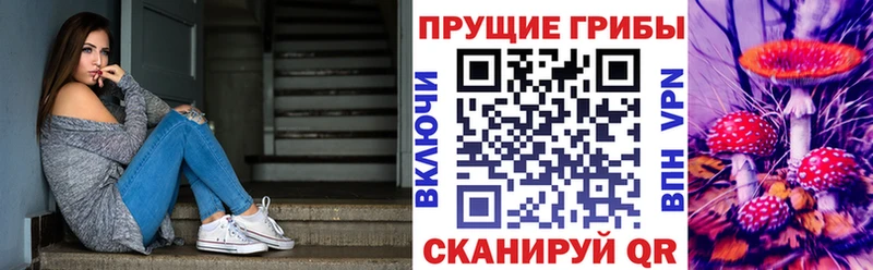 Галлюциногенные грибы MAGIC MUSHROOMS  Купить закладки  Анапа 